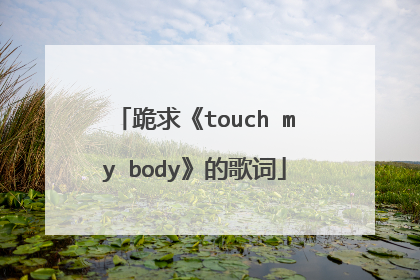 跪求《touch my body》的歌词