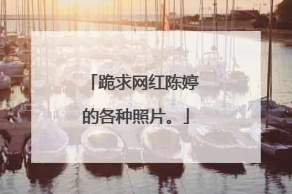 跪求网红陈婷的各种照片。