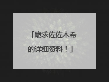 跪求佐佐木希的详细资料！