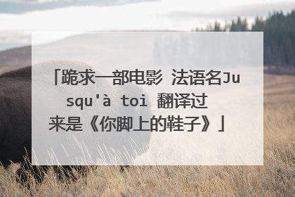 跪求一部电影 法语名Jusqu'à toi 翻译过来是《你脚上的鞋子》
