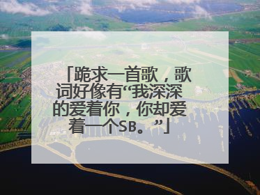 跪求一首歌，歌词好像有“我深深的爱着你，你却爱着一个SB。”