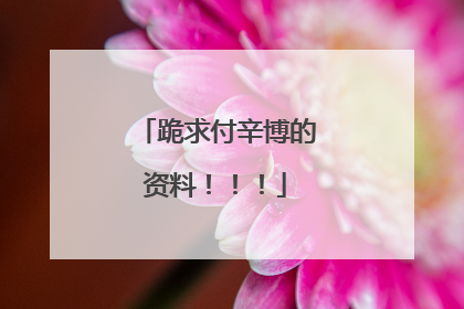 跪求付辛博的资料!!!