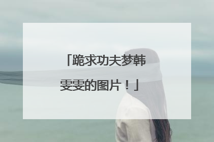 跪求功夫梦韩雯雯的图片！