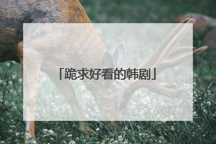 跪求好看的韩剧