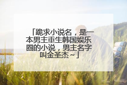跪求小说名，是一本男主重生韩国娱乐圈的小说，男主名字叫金圣杰～