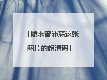 跪求曾沛慈这张图片的超清图