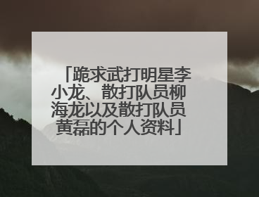 跪求武打明星李小龙、散打队员柳海龙以及散打队员黄磊的个人资料
