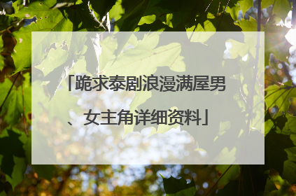 跪求泰剧浪漫满屋男、女主角详细资料