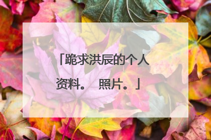 跪求洪辰的个人资料。 照片。