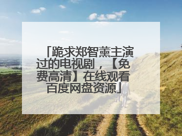 跪求郑智薰主演过的电视剧，【免费高清】在线观看百度网盘资源