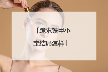 跪求铁甲小宝结局怎样