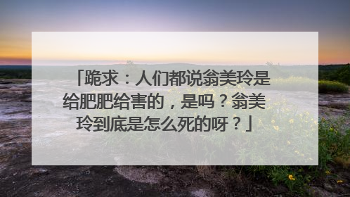 跪求：人们都说翁美玲是给肥肥给害的，是吗？翁美玲到底是怎么死的呀？