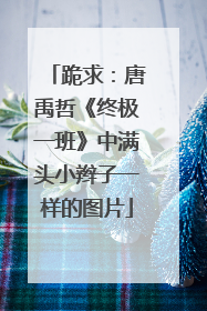 跪求:唐禹哲《终极一班》中满头小辫子一样的图片