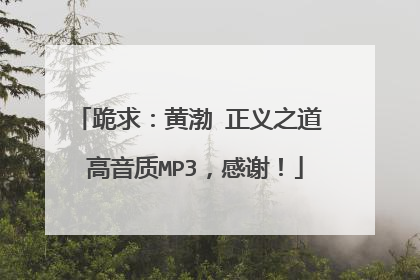 跪求:黄渤 正义之道 高音质MP3,感谢!