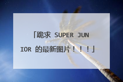 跪求 SUPER JUNIOR 的最新图片!!!