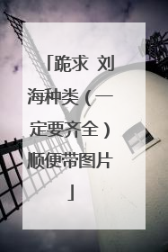 跪求 刘海种类(一定要齐全)顺便带图片