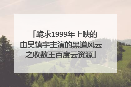 跪求1999年上映的由吴镇宇主演的黑道风云之收数王百度云资源