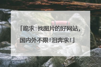 跪求:找图片的好网站,国内外不限!泪奔求!