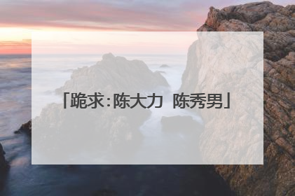 跪求:陈大力 陈秀男