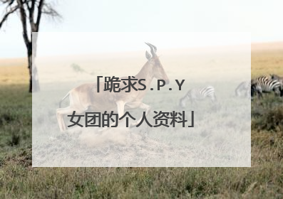 跪求S.P.Y女团的个人资料