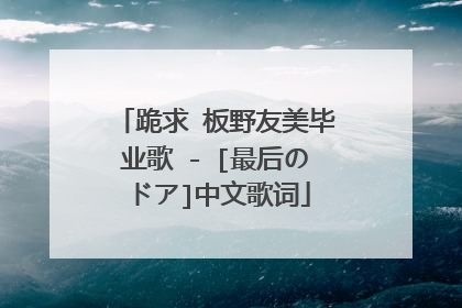 跪求 板野友美毕业歌 - [最后のドア]中文歌词