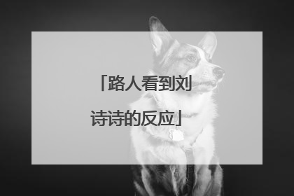 路人看到刘诗诗的反应