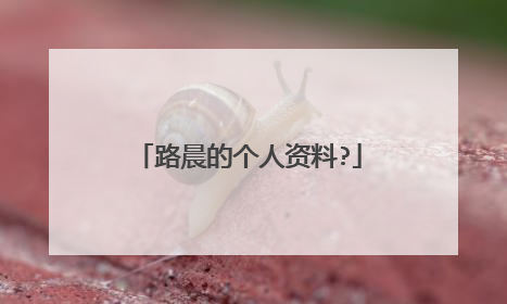 路晨的个人资料?