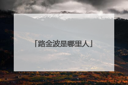 路金波是哪里人