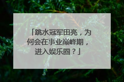 跳水冠军田亮,为何会在事业巅峰期,进入娱乐圈?