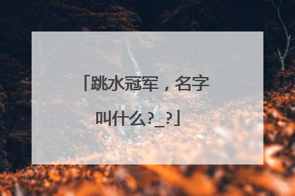 跳水冠军,名字叫什么?_?