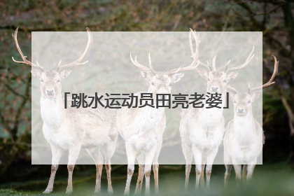 跳水运动员田亮老婆