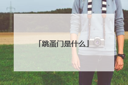 跳蚤门是什么