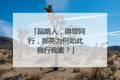 踹路人,得罪同行,那英为何如此我行我素?