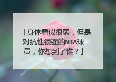 身体看似很弱，但是对抗性很强的NBA球员，你想到了谁？