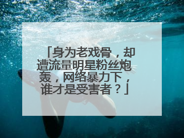 身为老戏骨，却遭流量明星粉丝炮轰，网络暴力下，谁才是受害者？