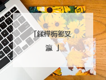 鍒樺槈鐜叉��瀛�