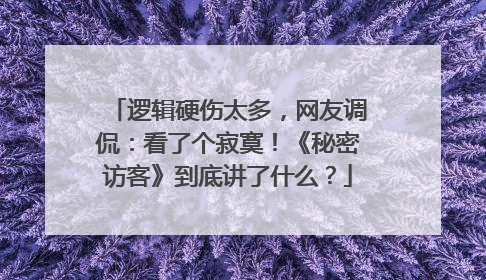 逻辑硬伤太多,网友调侃:看了个寂寞!《秘密访客》到底讲了什么?