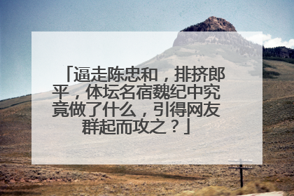 逼走陈忠和,排挤郎平,体坛名宿魏纪中究竟做了什么,引得网友群起而攻之?