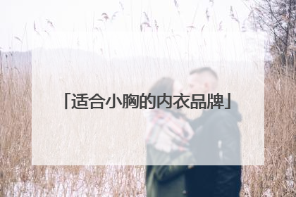 适合小胸的内衣品牌