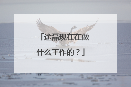 途磊现在在做什么工作的？