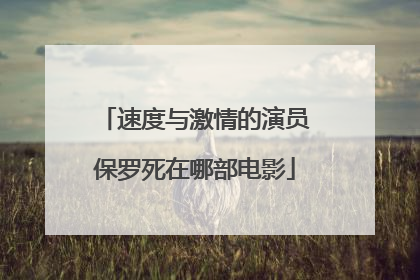 速度与激情的演员保罗死在哪部电影