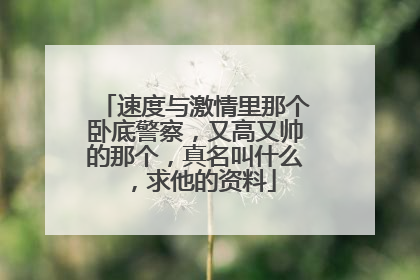 速度与激情里那个卧底警察，又高又帅的那个，真名叫什么，求他的资料