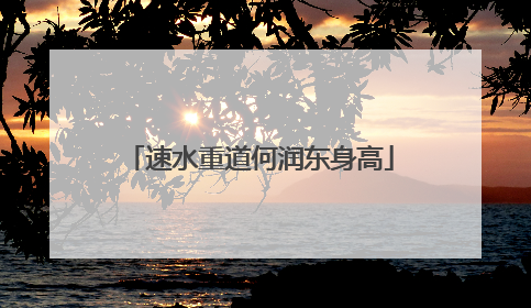 速水重道何润东身高