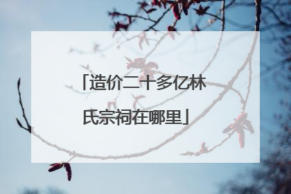 造价二十多亿林氏宗祠在哪里