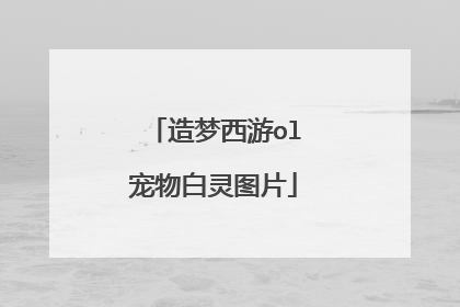 造梦西游ol宠物白灵图片