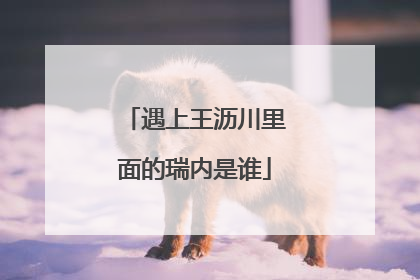 遇上王沥川里面的瑞内是谁