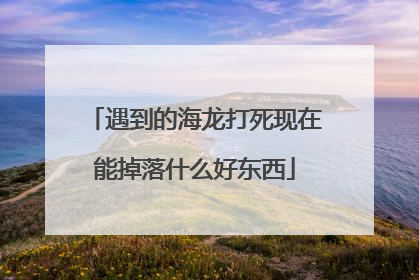 遇到的海龙打死现在能掉落什么好东西
