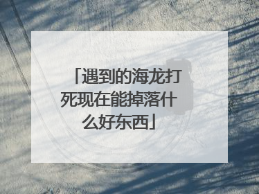 遇到的海龙打死现在能掉落什么好东西