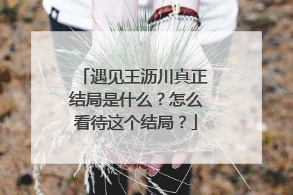 遇见王沥川真正结局是什么?怎么看待这个结局?