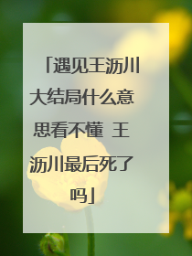 遇见王沥川大结局什么意思看不懂 王沥川最后死了吗